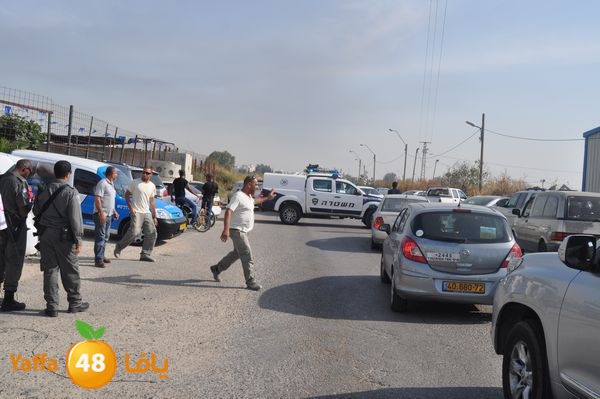 fireludkartoonmasna34 (37).JPG